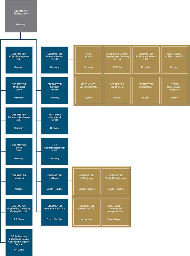 OBERMEYER organisation diagram